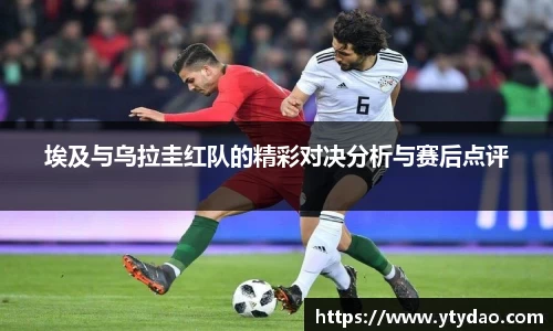 金年会